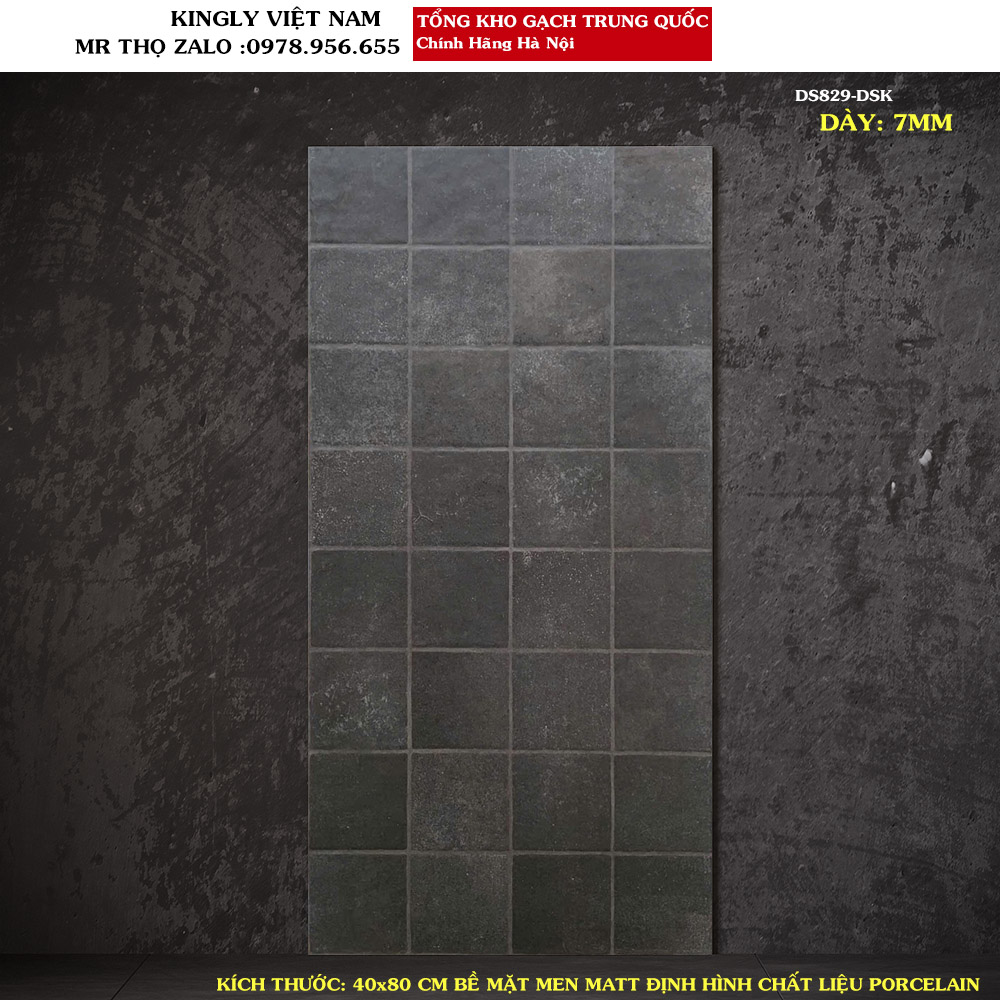 Gạch ốp tường 40x80 Trung Quốc DS829